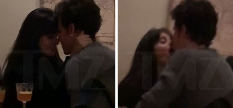 camila-cabello-and-shawn-mendes-making-out-in-toronto-restaurant