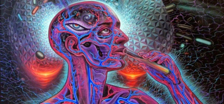 is-dmt-and-the-drug-do-to-us-exactly?