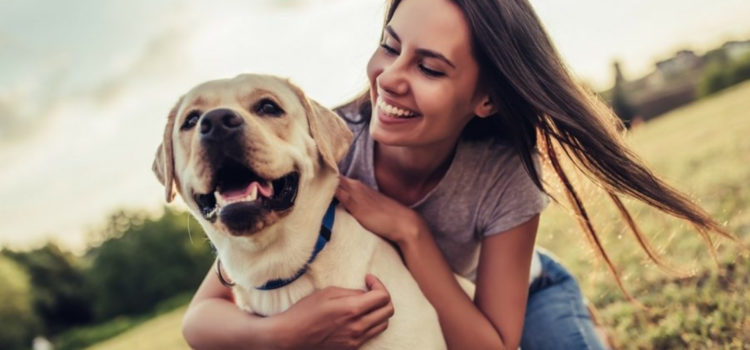 cbd-can-stop-brain-cancer-in-humans-and-dogs,-study-finds