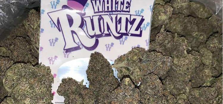 what’s-the-deal-with-“runtz”-and-why-is-the-weed-strain-so-popular?