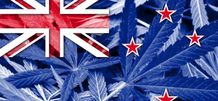 legalizing-cannabis-could-bring-new-zealand-$500-million-in-annual-tax-revenue