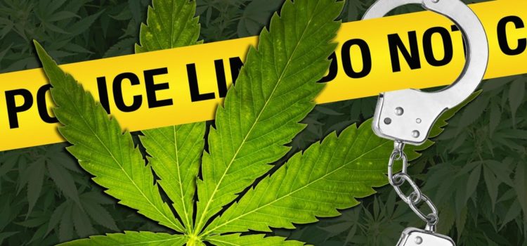 former-cannabis-employees-arrested-for-murdering-their-ex-boss-near-grow-op