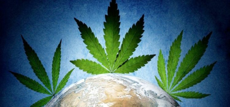 united-nations-will-vote-on-relaxing-global-cannabis-laws-this-december