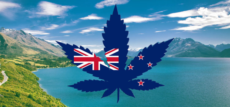 56%-of-new-zealanders-say-they’ll-vote-“yes”-on-weed-legalization-this-fall