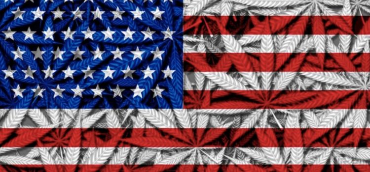 congress-has-plans-to-vote-on-federal-cannabis-legalization-this-september