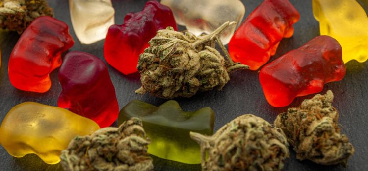 deliciously-potent:-here-are-the-top-10-most-incredible-edibles-currently-on-the-market