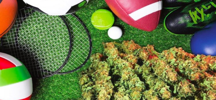 canada-will-officially-stop-drug-testing-student-athletes-for-weed