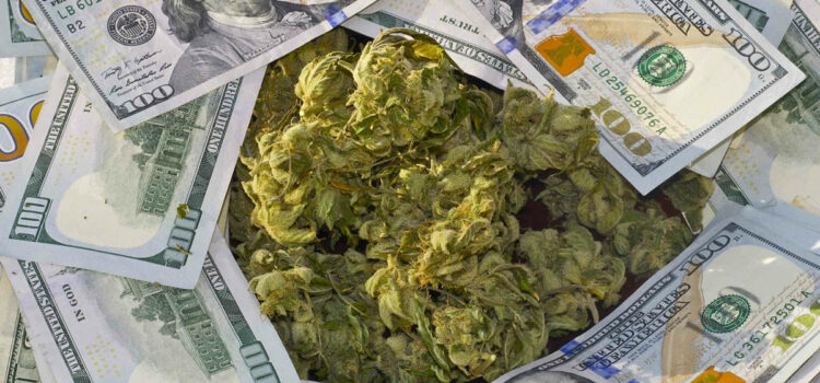 legal-weed-states-across-the-us-raked-in-a-whopping-$3-billion-in-tax-revenue-in-2020