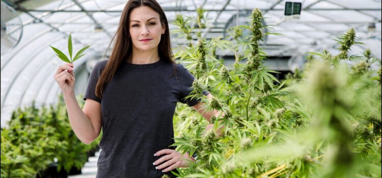 state-agriculture-commissioner-nikki-fried-pushes-florida-on-further-cannabis-reform