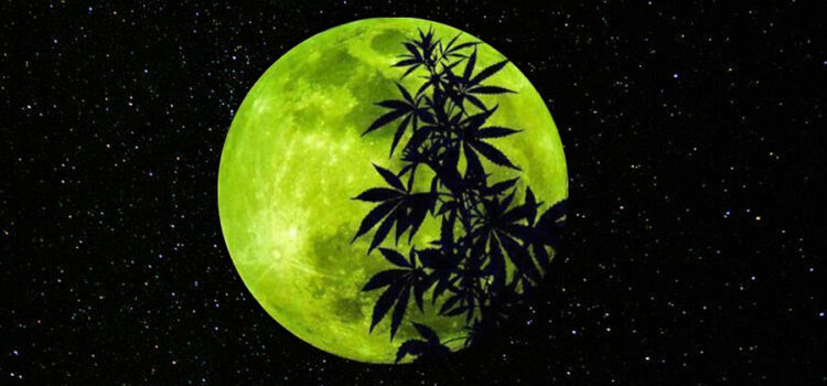 blowing-smoke-to-the-sky:-celebrate-this-full-moon-with-these-ultra-vibey-weed-products