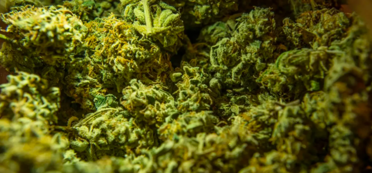 illinois-lawmakers-are-trying-to-legalize-the-possession-of-literally-any-amount-of-weed