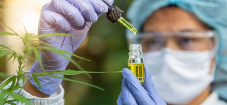 german-government-now-funding-research-into-cbd-extracts