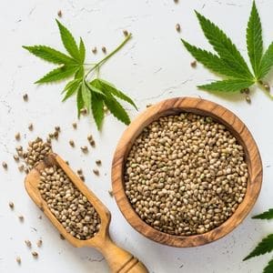High-quality marijuana seeds