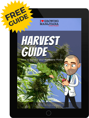 harvest guide