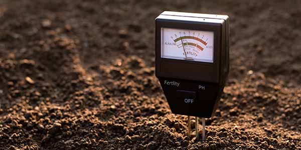 How To Measure PH And PPM For Your Marijuana Grow