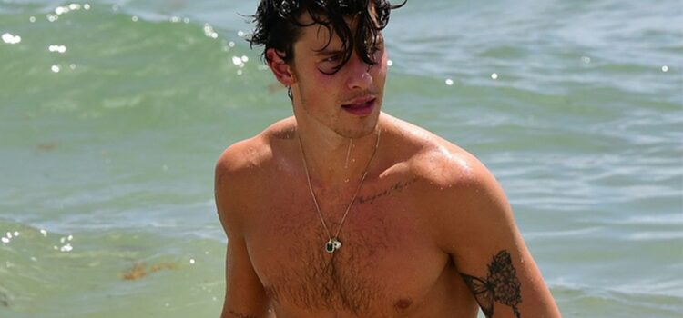 shawn-mendes-takes-a-dip-at-miami-beach-after-canceling-world-tour