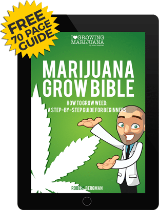 marijuana grow bible