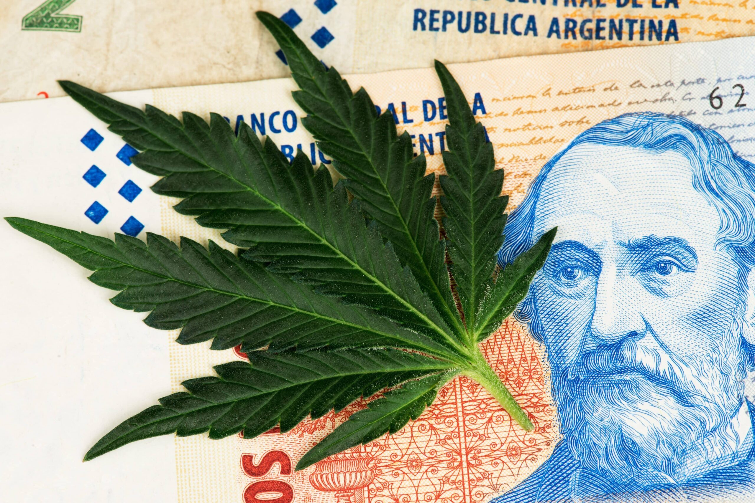 argentina-launches-new-agency-to-boost-cannabis-industry