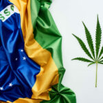court-ruling-could-lead-to-cannabis-planting-in-brazil
