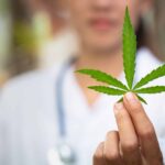 rhode-island-ushers-in-new-era-for-medical-weed-patients-with-digital-applications