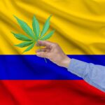 colombia-senators-approve-cannabis-legalization-bill