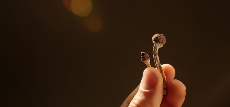 psilocybin-treats-symptoms-of-major-depression-after-just-one-dose,-study-shows