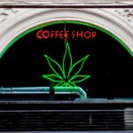 the-netherlands-government-announced-a-start-date-for-cannabis-pilot-program
