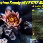 from-the-archives:-a-lifetime-supply-of-peyote-magic-(1977)