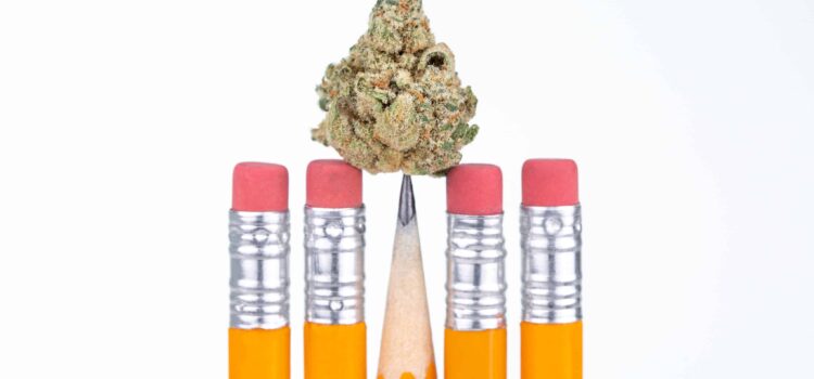 michigan-k-12-students-could-use-medical-pot-on-school-grounds-under-new-bill