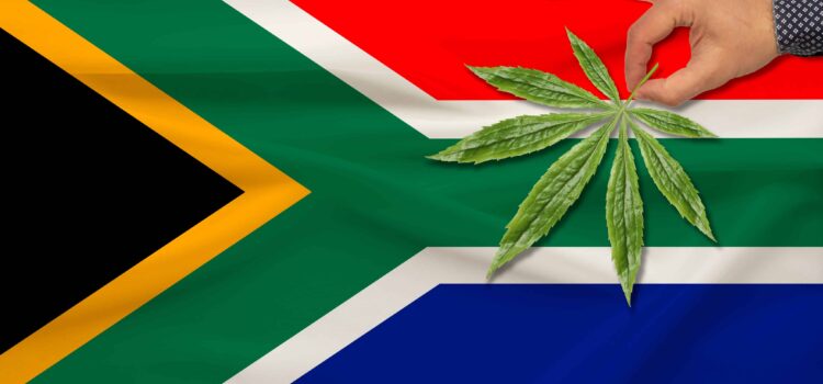 Restaurant Denies Service to Rapper for Smelling Like Pot, Sparking National Debate in South Africa