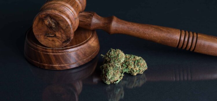 new-york-judge-strikes-down-cannabis-marketing-rules
